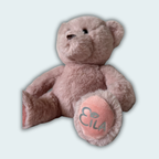 Personalised Teddy Bear