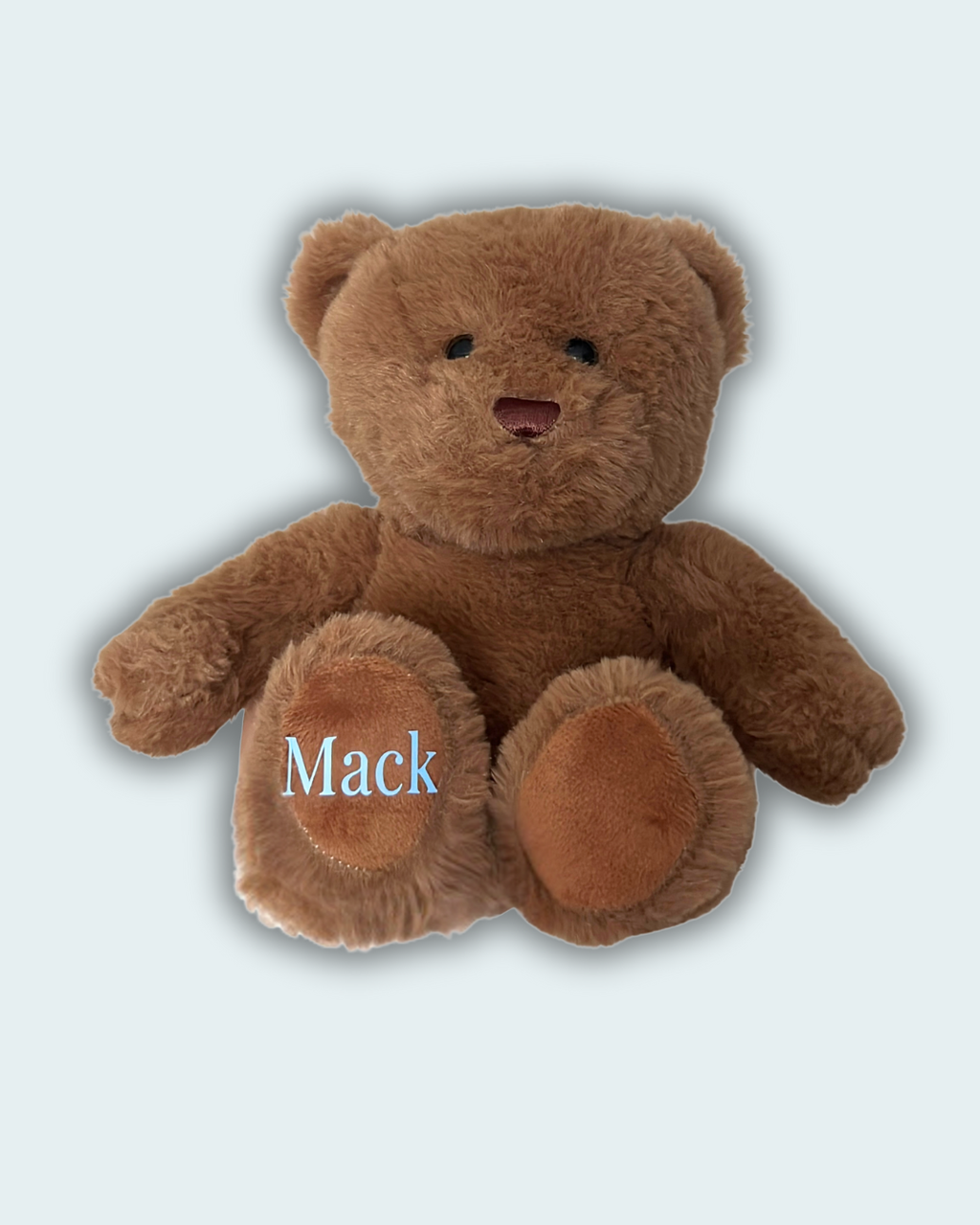 Personalised Teddy Bear