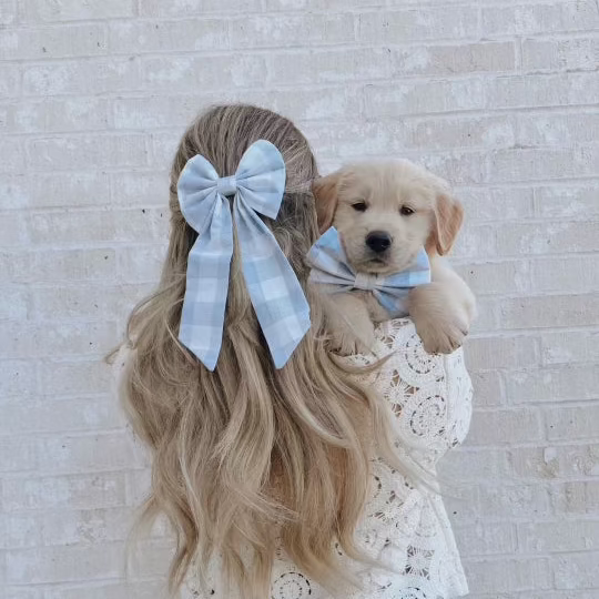 Person with long blonde hair wearing a blue bow, holding a small dog also wearing a blue bow, against a light brick wall.